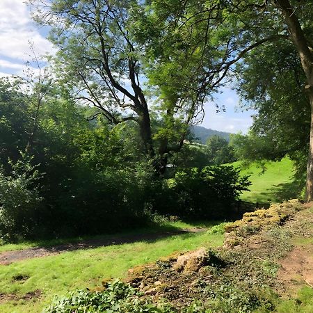 The Spring Slad Valley Cotswolds Painswick Ngoại thất bức ảnh